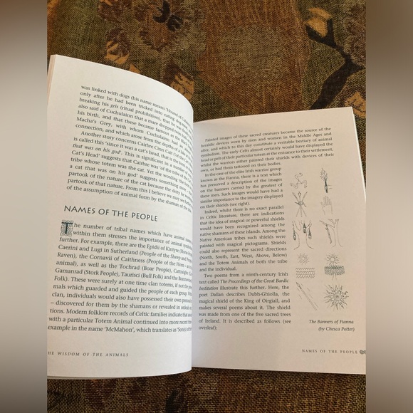 CELTIC TOTEM ANIMALS Book and Cards by John Matthews - Picture 12 of 14